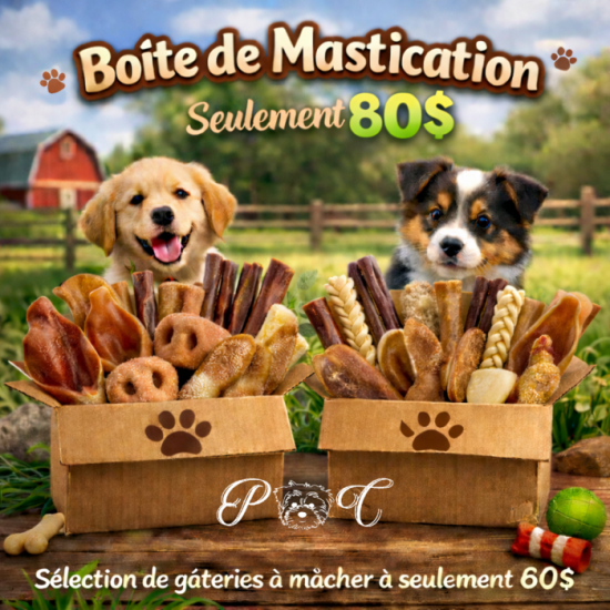 Puppy Country Boîte de mastication naturelle pour...