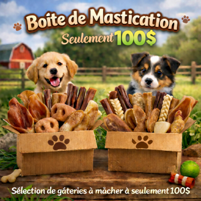 Puppy Country Boîte de mastication naturelle pour...