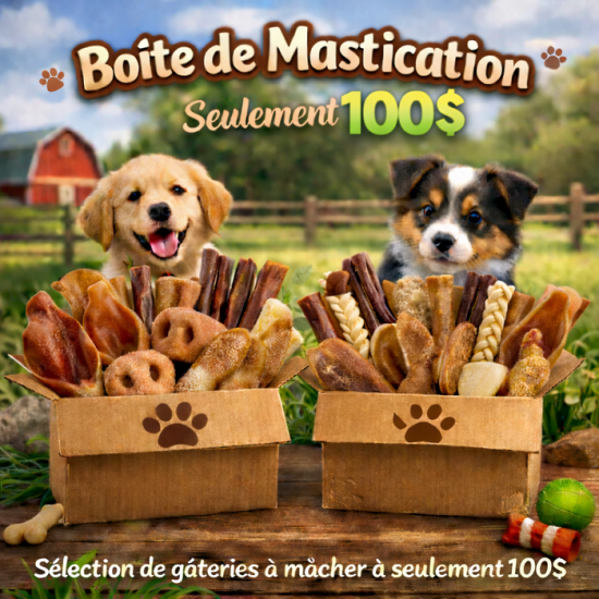 Puppy Country Boîte de mastication naturelle pour...