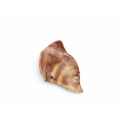 BELLERIVE Oreille de porc
