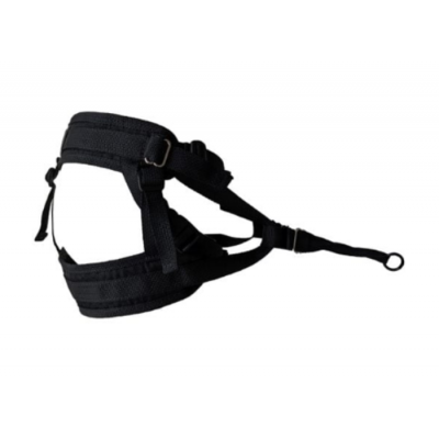 LeChienBlanc Ceinture Série Pro pour canicross et...