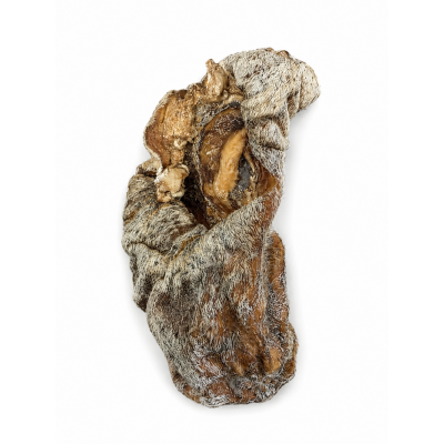 Vrac pour chien Testicule poilue de bœuf pour...