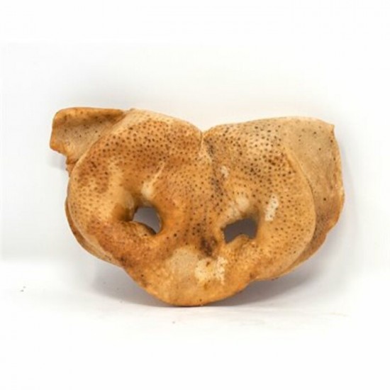 Nez de porc