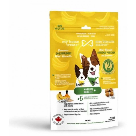 supplément hypoallergénique pour chien aux...