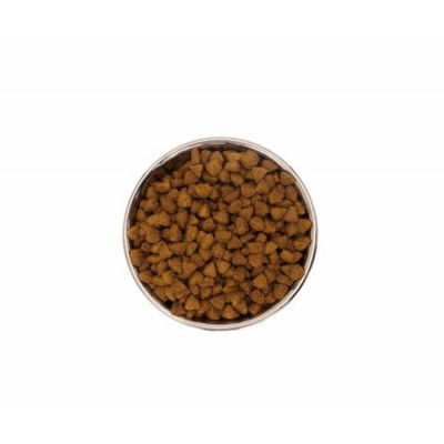 Gabo Nourriture Complète pour Chat d’Intérieur – Poulet & Poisson 15.4 Lb