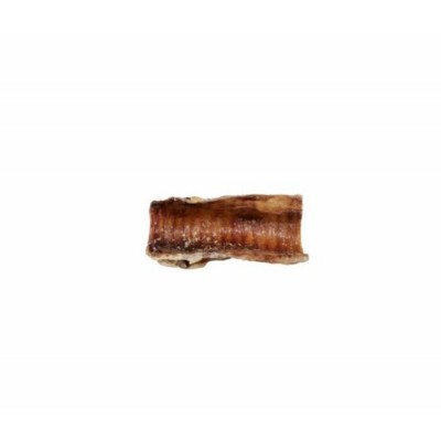 Gabo – Trachée de Bœuf Naturelle pour Chien 5-6"