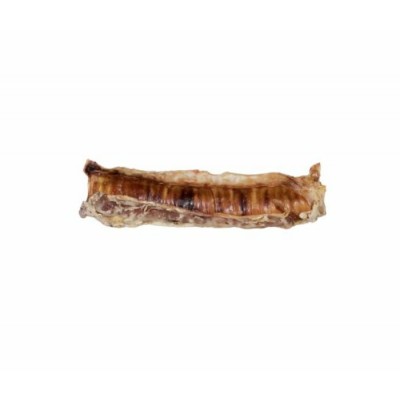 Gabo – Trachée de Bœuf Naturelle pour Chien 9-11"