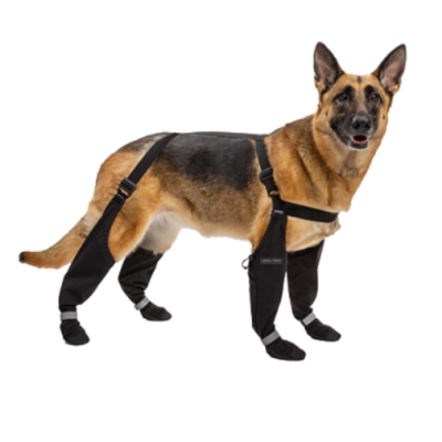 Canada Pooch® Suspender Boots Noir Taille 5 Long