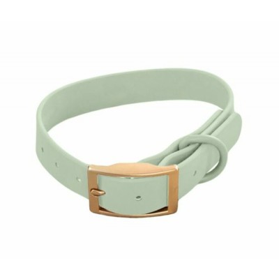 Dexypaws – Collier Imperméable pour Chien Couleur Vert Sauvage Moyen