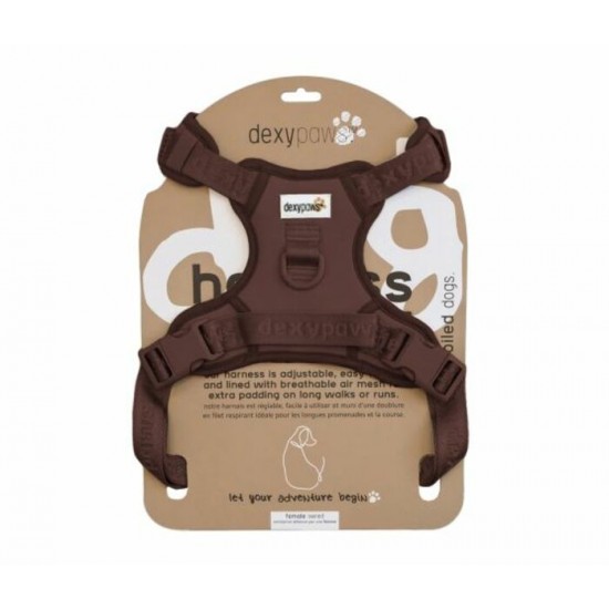 Dexypaws Harnais Sans Traction pour Chien –...