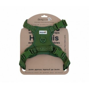 Dexypaws Harnais Sans Traction pour Chien –...