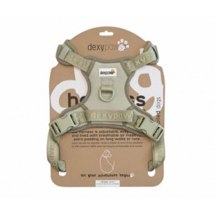 Dexypaws Harnais Sans Traction pour Chien –...