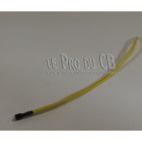 DISGL42 - Globe pour CB 