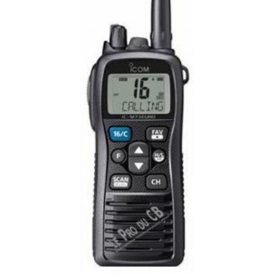 ICM73