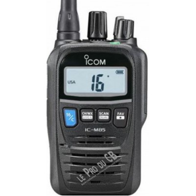 ICM85