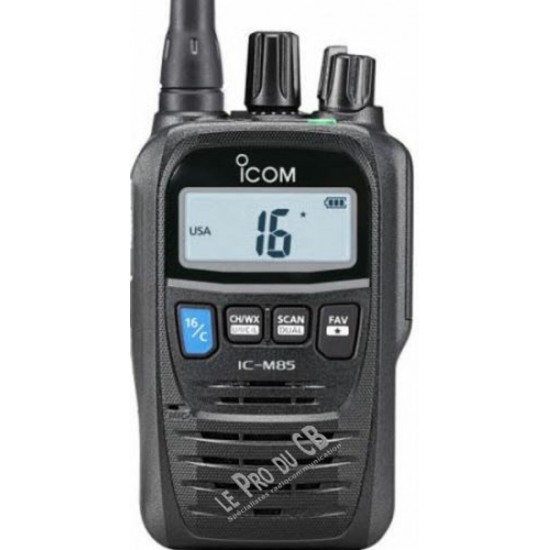 ICM85