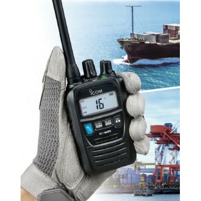 ICM85