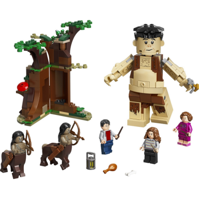 LEGO Harry Potter La Forêt interdite : la rencontre d'Ombrage 2020