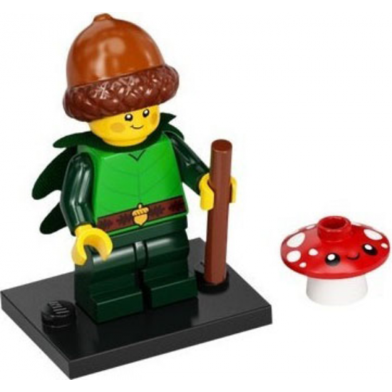 LEGO® Minifigures série 22 Elfe de la forêt...