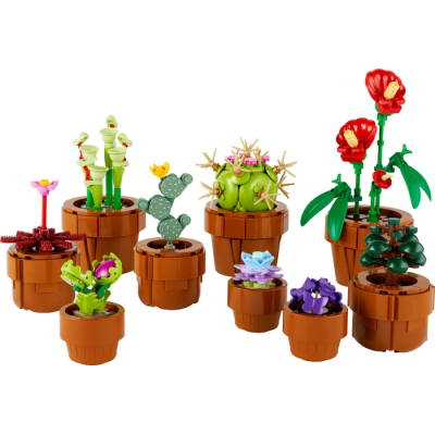 LEGO® Icons Expert Les petites plantes 2024