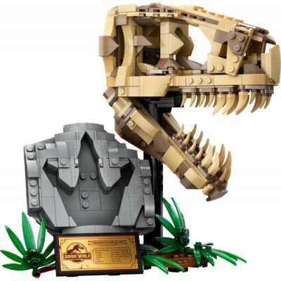 LEGO JURASSIC WORLD Les fossiles de dinosaures : le crâne de T. rex 2024