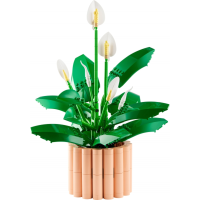 LEGO The Botanical Collection La fleur de lune 2026