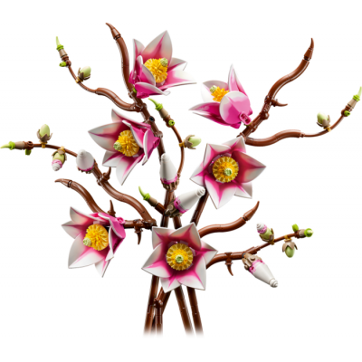 LEGO The Botanicals Collection Les branches de magnolia 2026