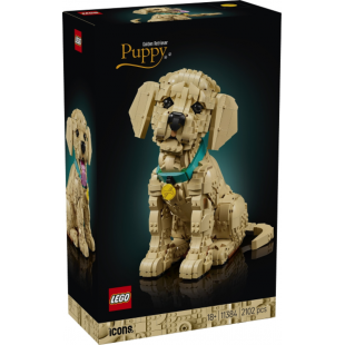 LEGO Icons Le chiot Golden Retriever 2026