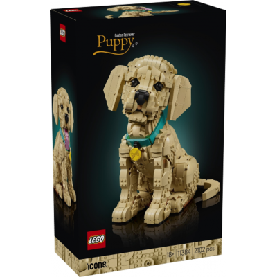 LEGO Icons Le chiot Golden Retriever 2026