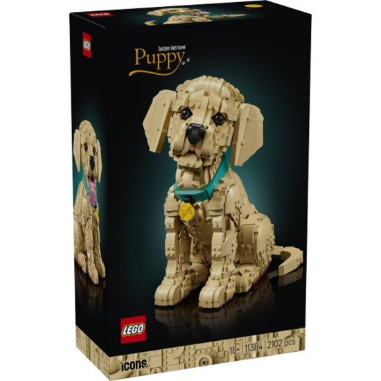 LEGO Icons Le chiot Golden Retriever 2026