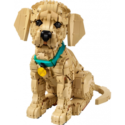 LEGO Icons Le chiot Golden Retriever 2026