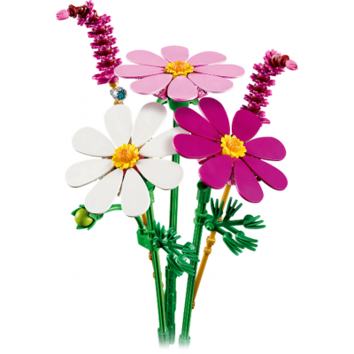 LEGO The Botanical Les cosmos 2026