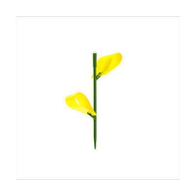 Piège à mouche  (sciarides)