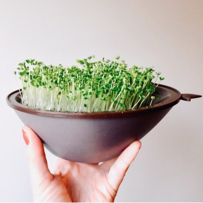Brocoli en vrac 125g