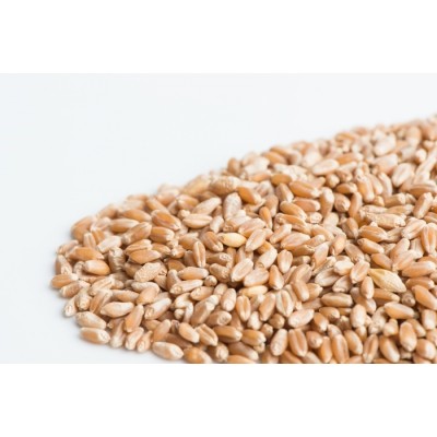 Blé en vrac 200g