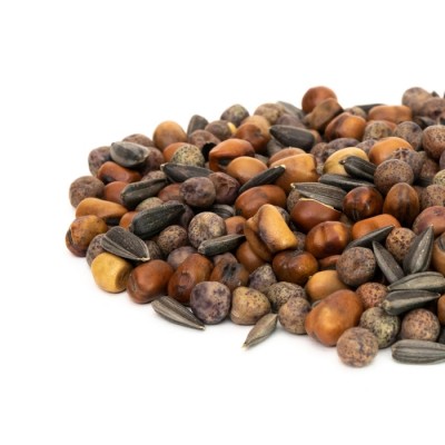 Petites laitues 150g