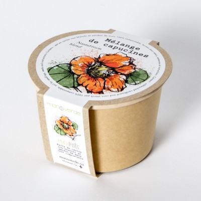 Minipot capucine Minipot capucine