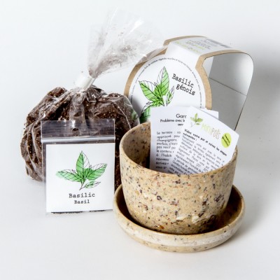 Minipot basilic fibres recyclées