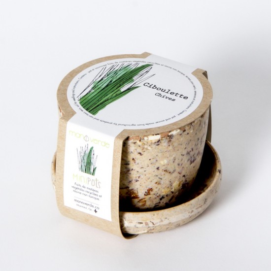 Minipot ciboulette fibres recyclées