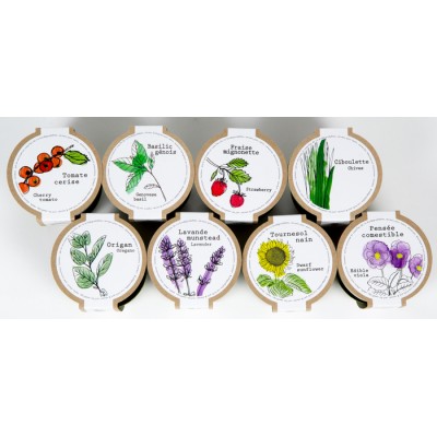 Minipot ciboulette fibres recyclées