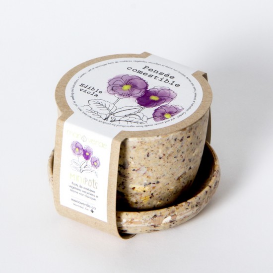 Minipot pensée fibres recyclées