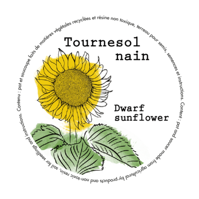 Minipot tournesol nain fibres recyclées