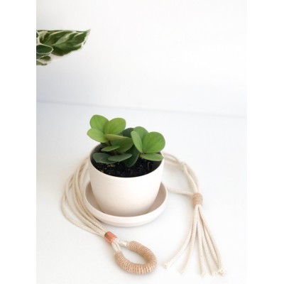 Minipot et suspension