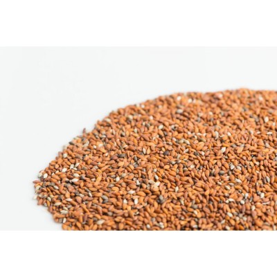 Cresson en vrac 125g