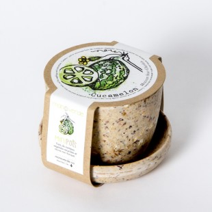 Minipot cucamelon fibres recyclées
