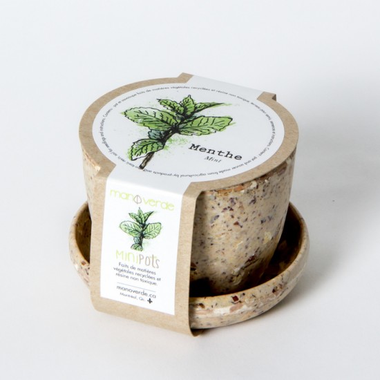 Minipot menthe fibres recyclées