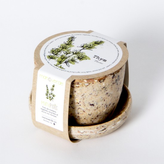 Minipot thym fibres recyclées