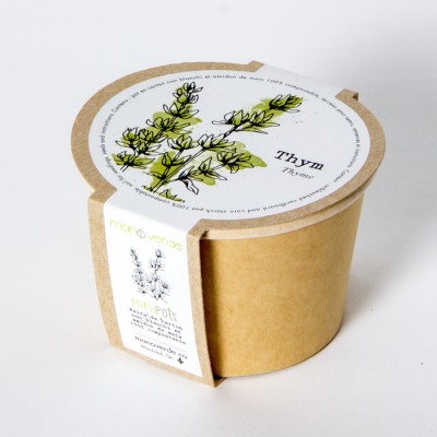 Minipot thym