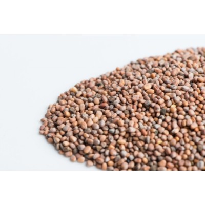 Radis Daïkon en vrac 125g