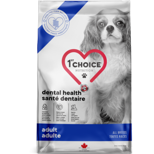 1st Choice Chien Soins Dentaire 12 kg 